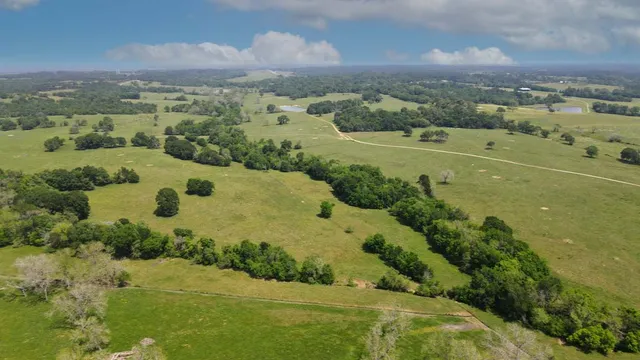 $4,200,000 | 305 County Road 305, Navasota, TX 77868