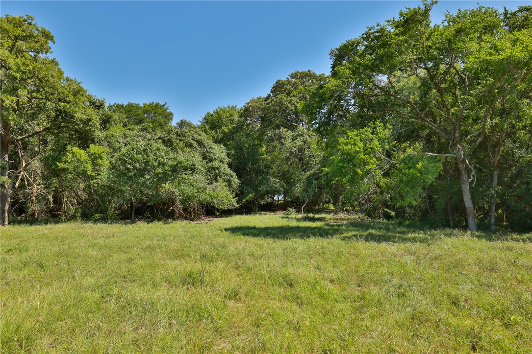 305 County Road 305 Navasota, TX 77868 - Photo 8 of 21 a view of outdoor space with green field and trees all around