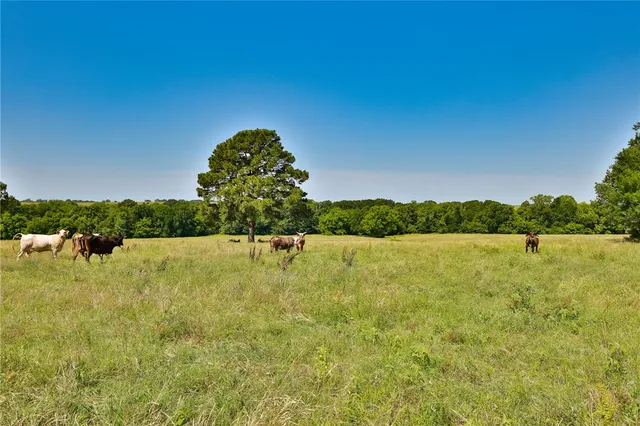 a view of a lake view