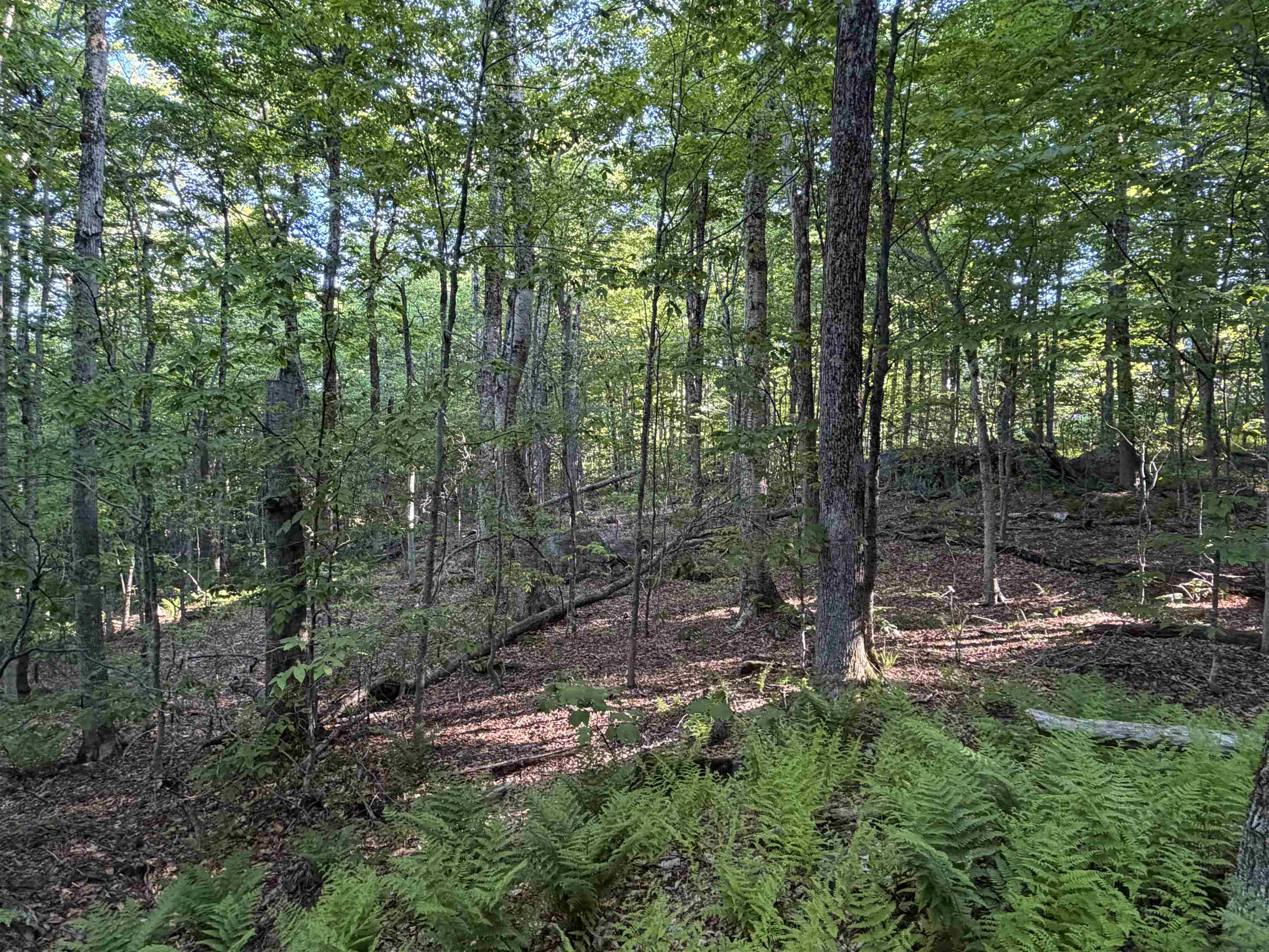 Scattered Timber Road Wilmington, VT 05363 - Photo 6 of 24