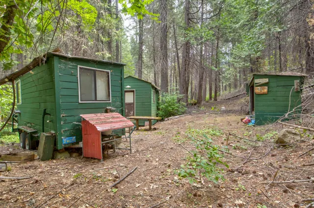 a green field with lots of trees