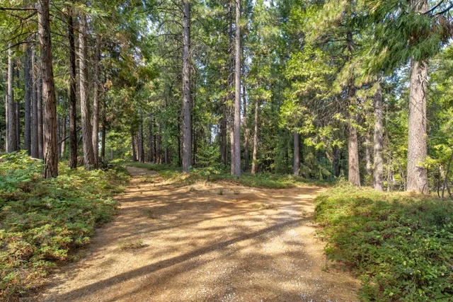 a view of outdoor space with trees