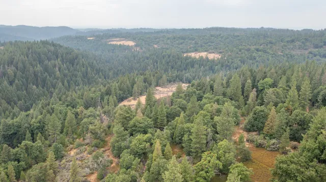 a view of a lush green hillside and a houses