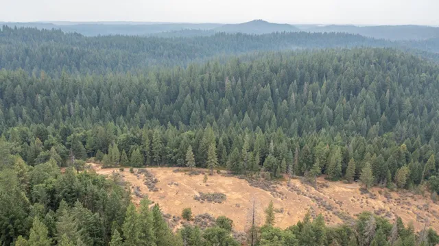 a view of a dry yard