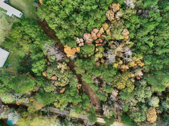 $49,900 | Tbd Hatfield Lane, Jackson, LA 70748