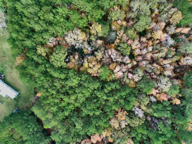 $49,900 | Tbd Hatfield Lane, Jackson, LA 70748