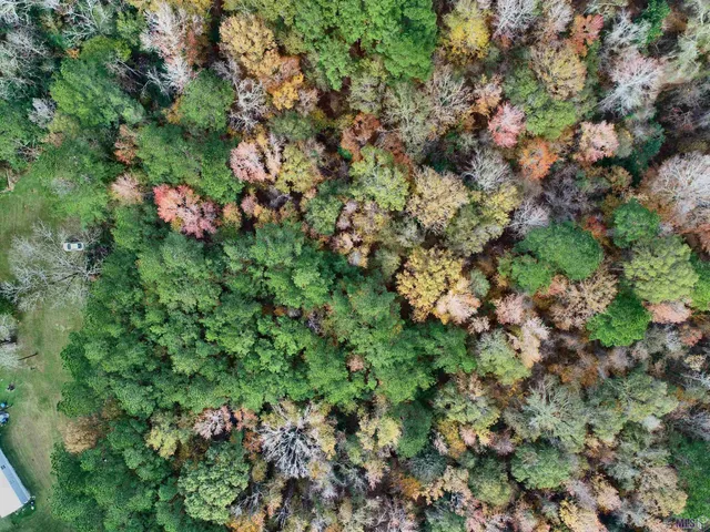 $49,900 | Tbd Hatfield Lane, Jackson, LA 70748