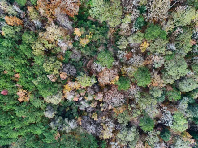 $49,900 | Tbd Hatfield Lane, Jackson, LA 70748