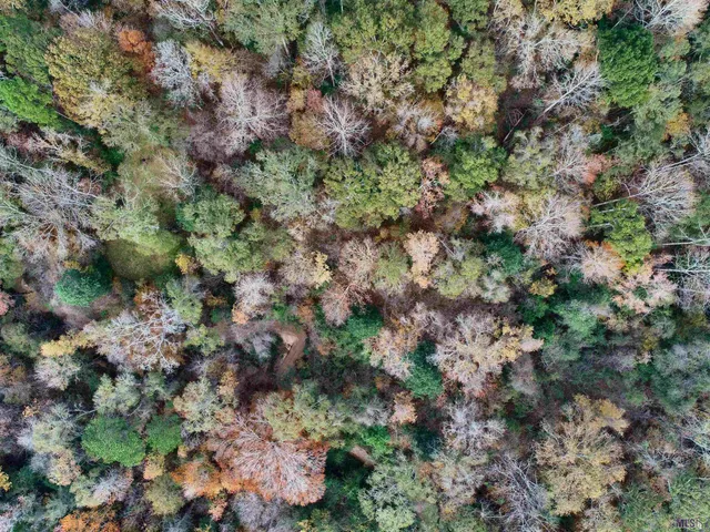 $49,900 | Tbd Hatfield Lane, Jackson, LA 70748