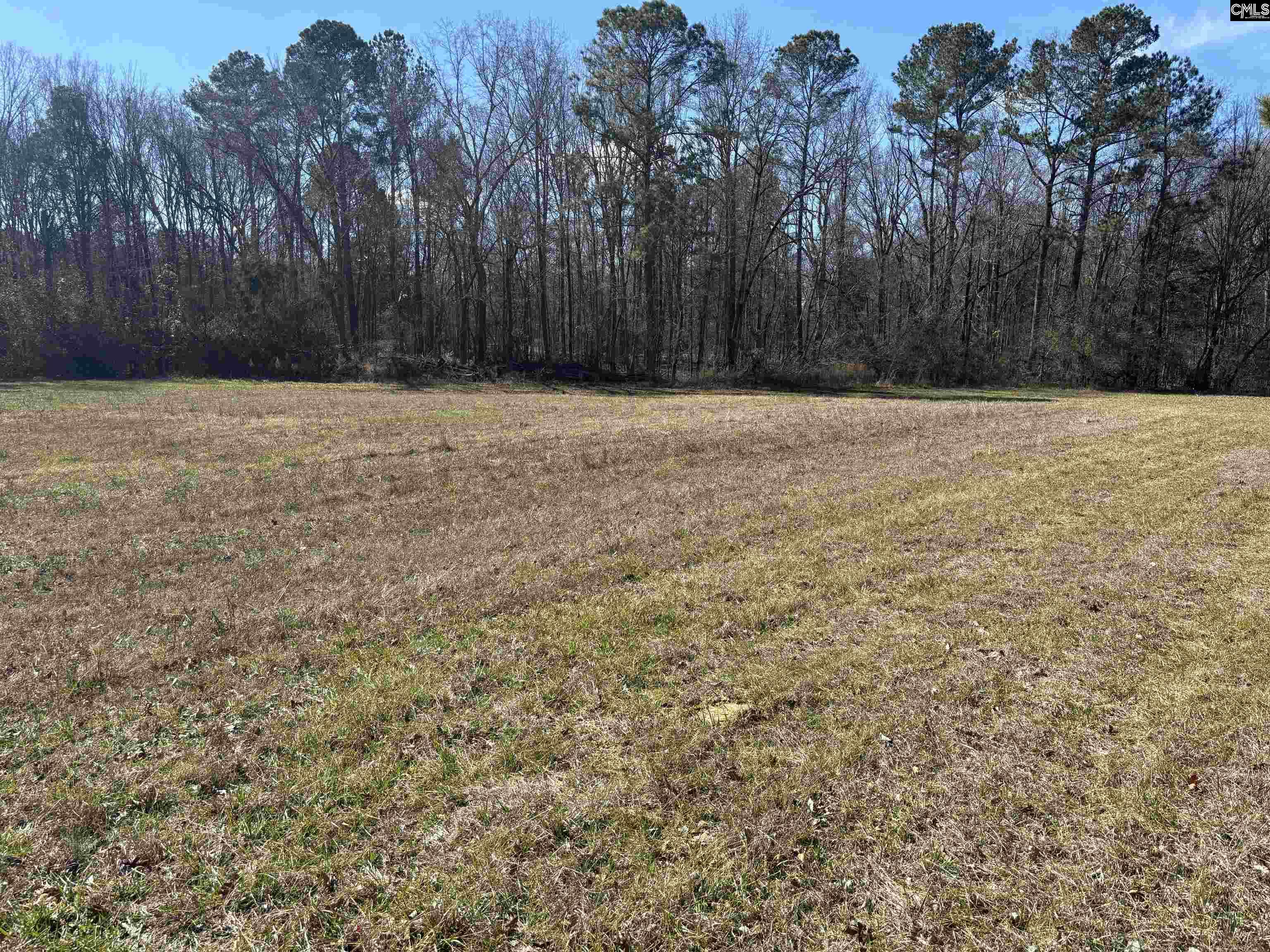 0 Bethany Road Saluda, SC 29138 - Photo 17 of 24