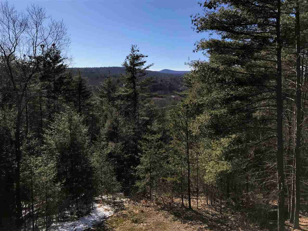 50 Balch Farm Road Bennington, NH 03442 - Photo 2 of 17