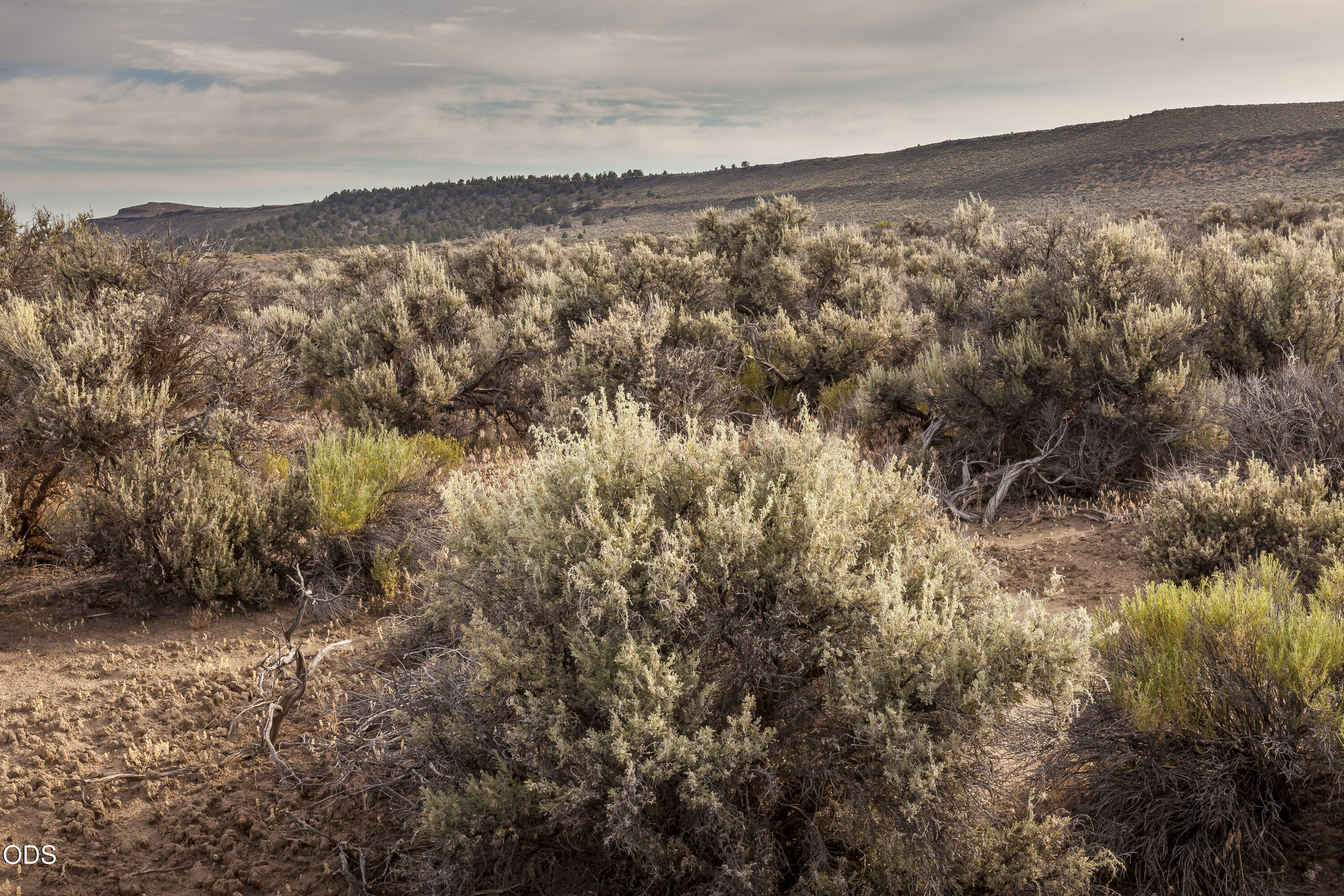 0 Buffalo Wells Road Christmas Valley, OR 97641 - Photo 15 of 19