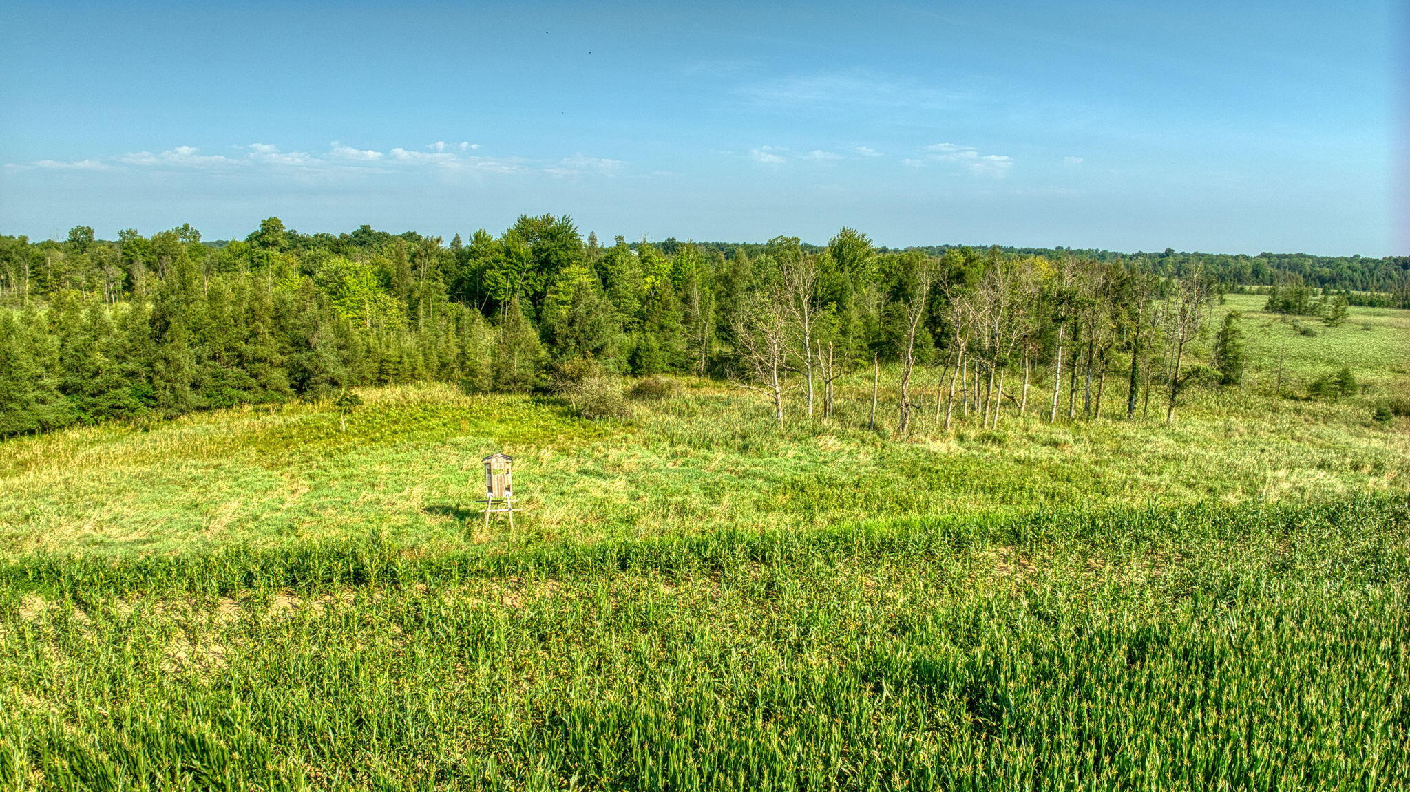 20 Washburn Road Grass Lake, MI 49240 - Photo 15 of 25 8-web-or-mls-DJI_0999_HDR