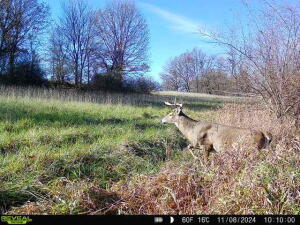20 Washburn Road Grass Lake, MI 49240 - Photo 19 of 25 18