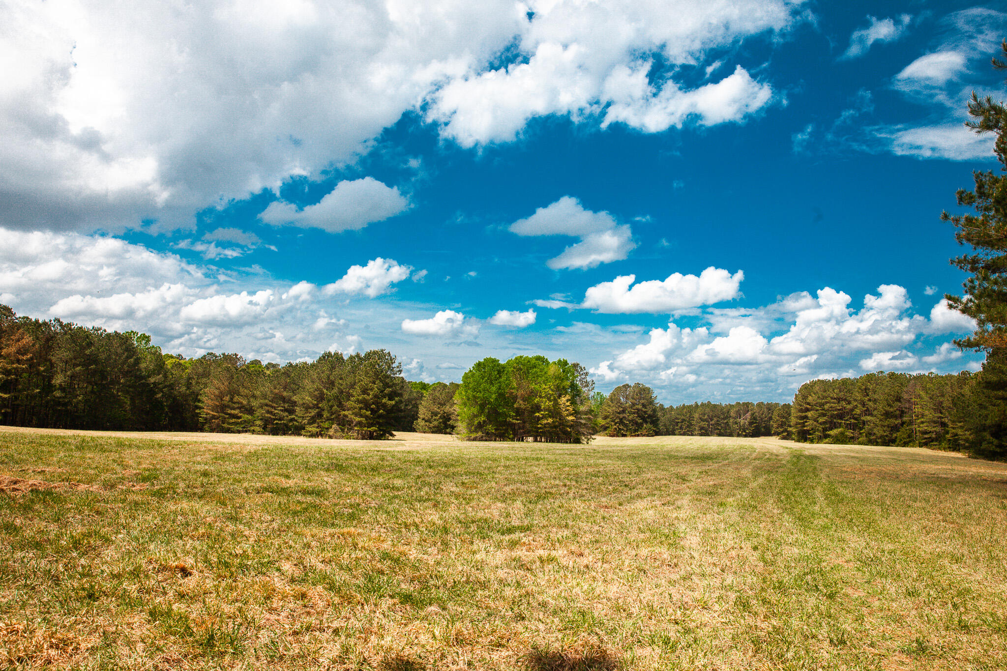 0 Ralph Goolsby Road Lincolnton, GA 30817 - Photo 23 of 48 IMG_5219