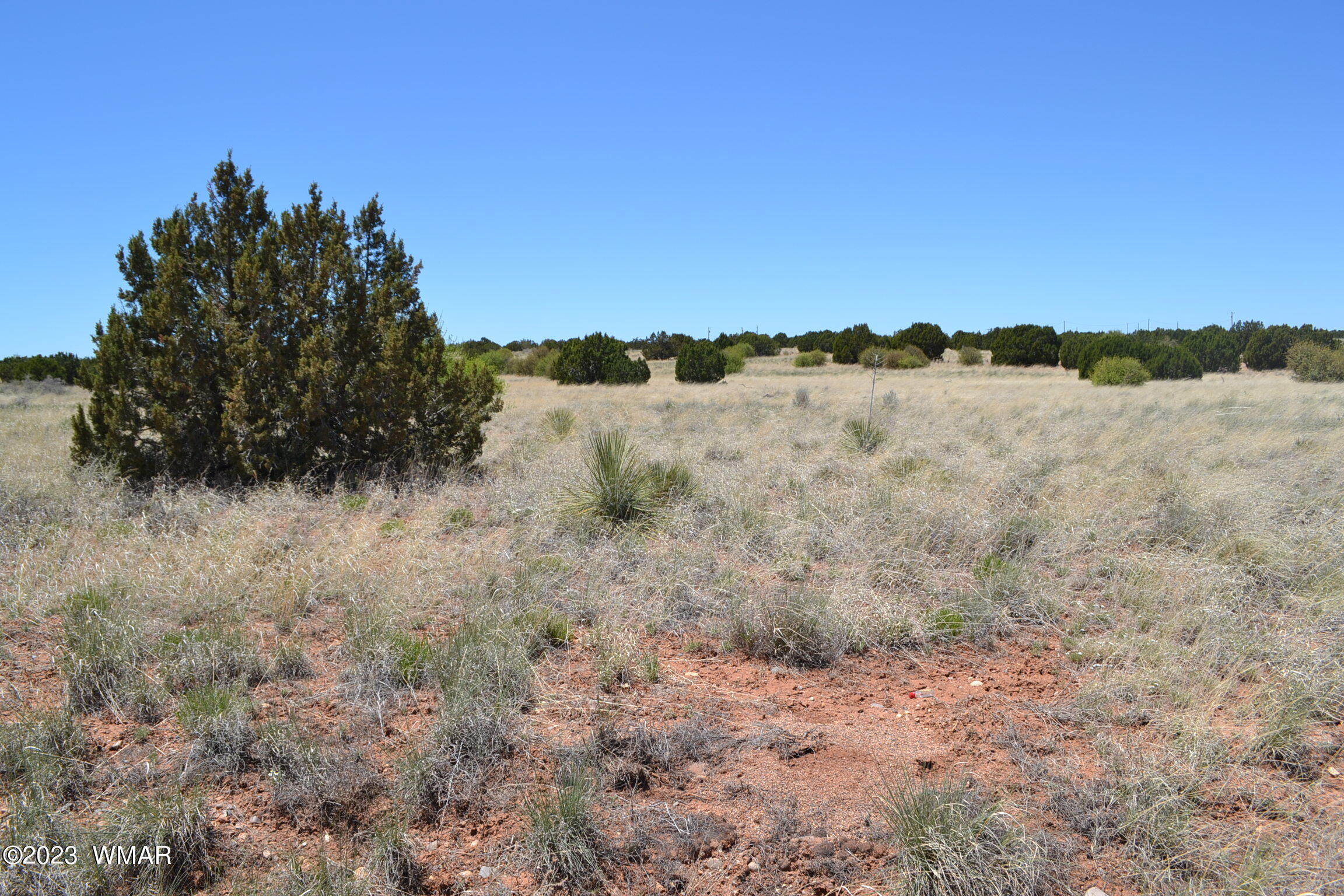 3706 Highland Road Heber, AZ 85928 - Photo 3 of 10 Gallery Image 3