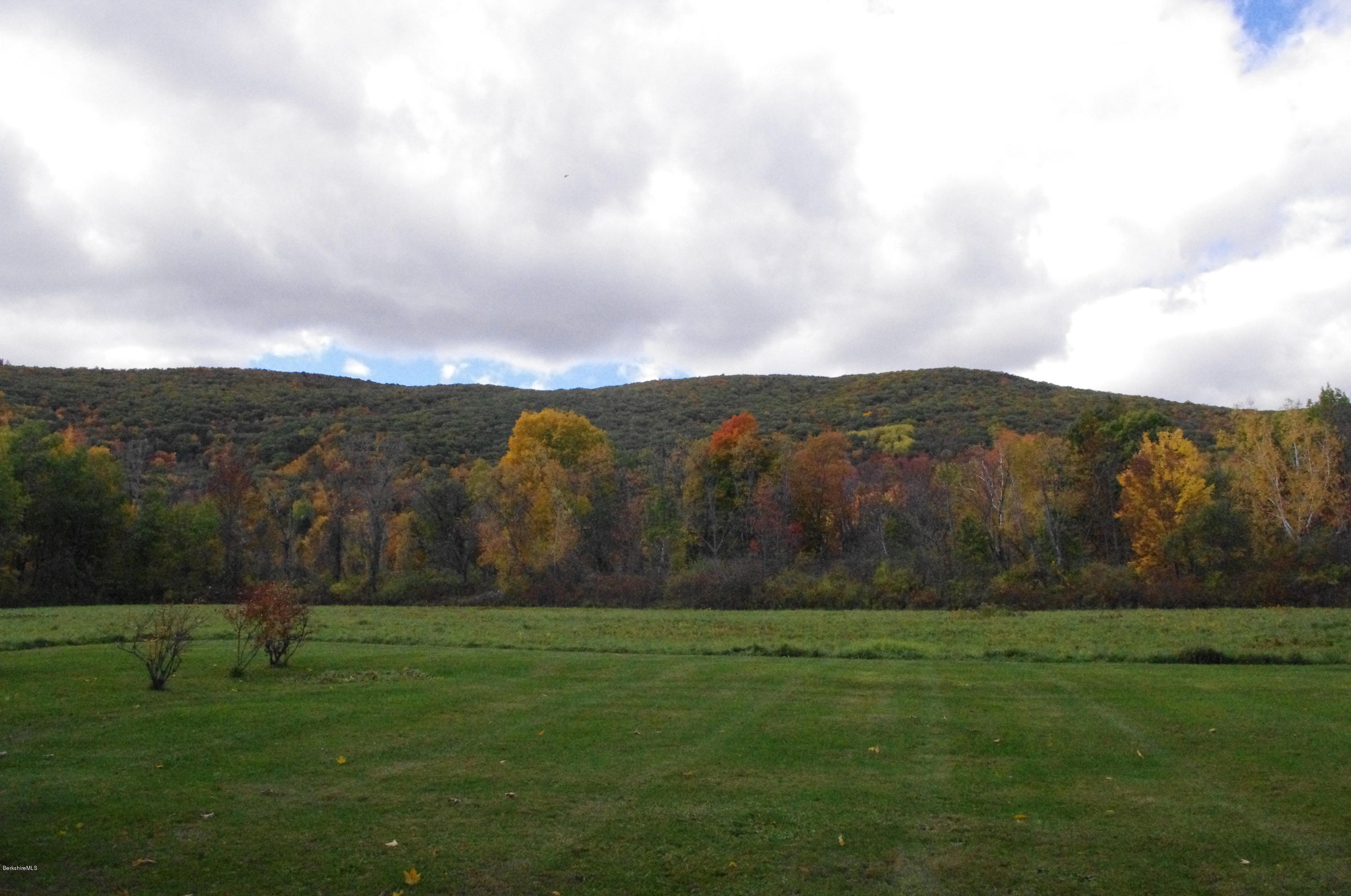 IMGP0918