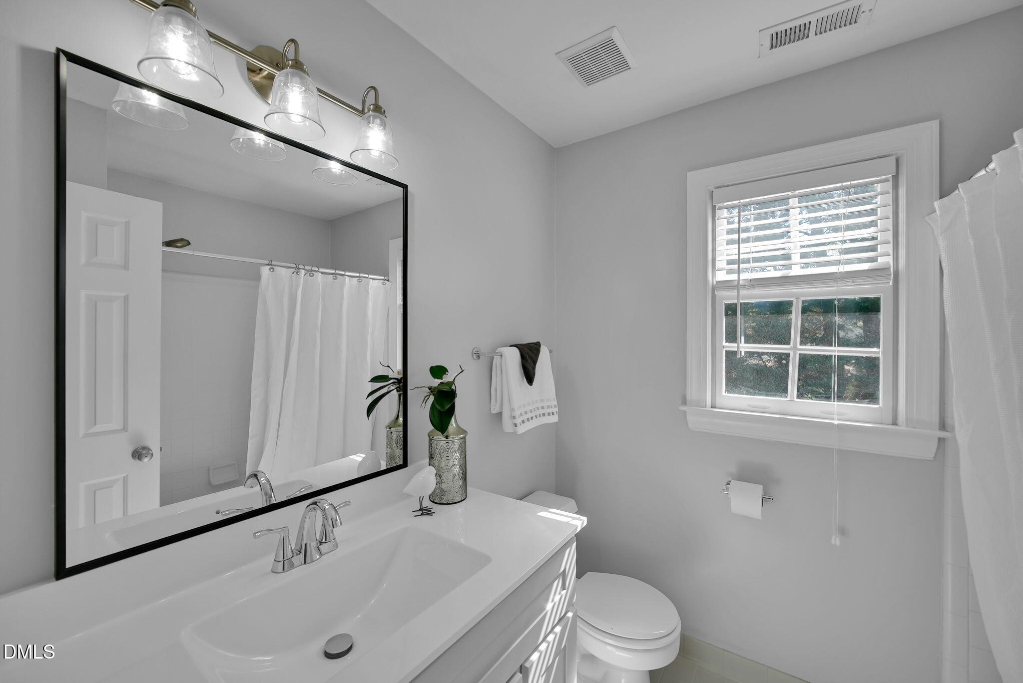 8005 Looking Glass Court Raleigh, NC 27612 - Photo 46 of 75 a bathroom with a sink a toilet and mirror