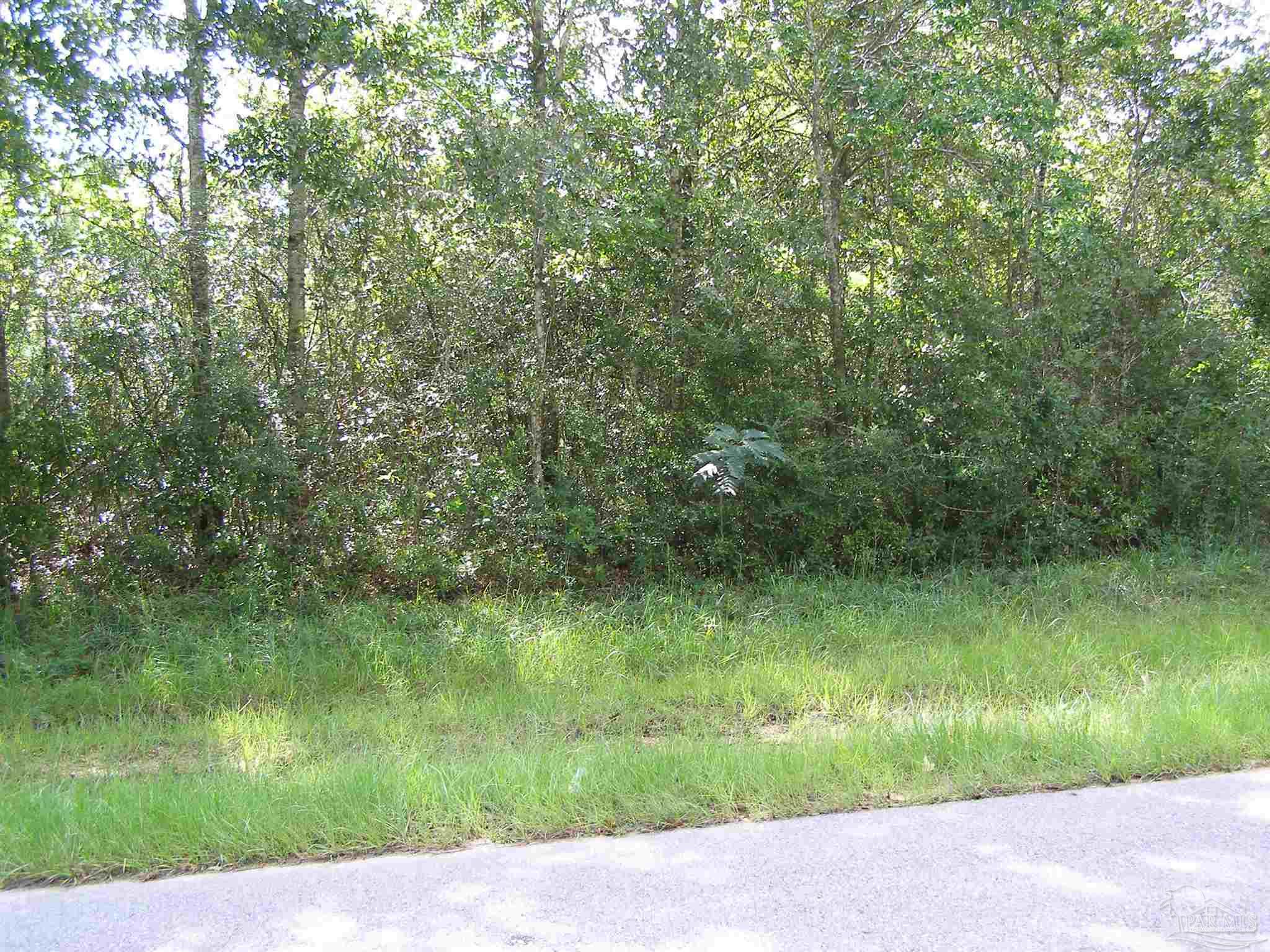 4279 Country Mill Road Jay, FL 32565 - Photo 2 of 3 Gallery Image 2