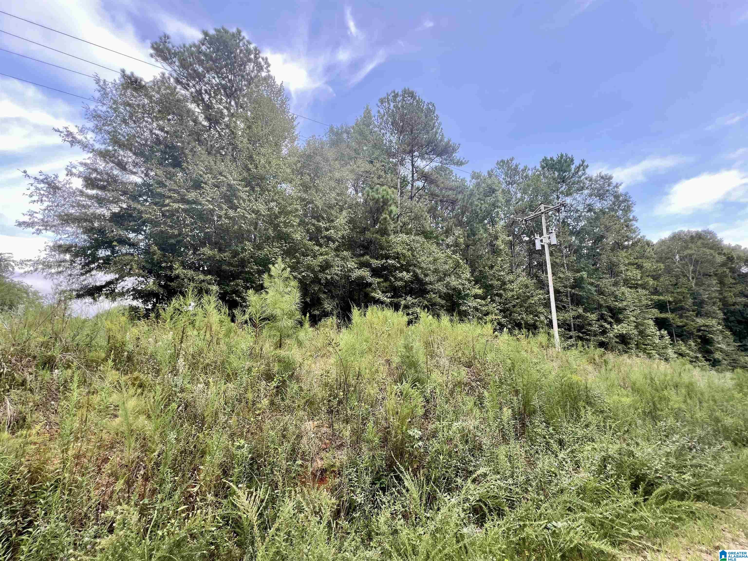 252 County Road 252 Wedowee, AL 36278 - Photo 7 of 9