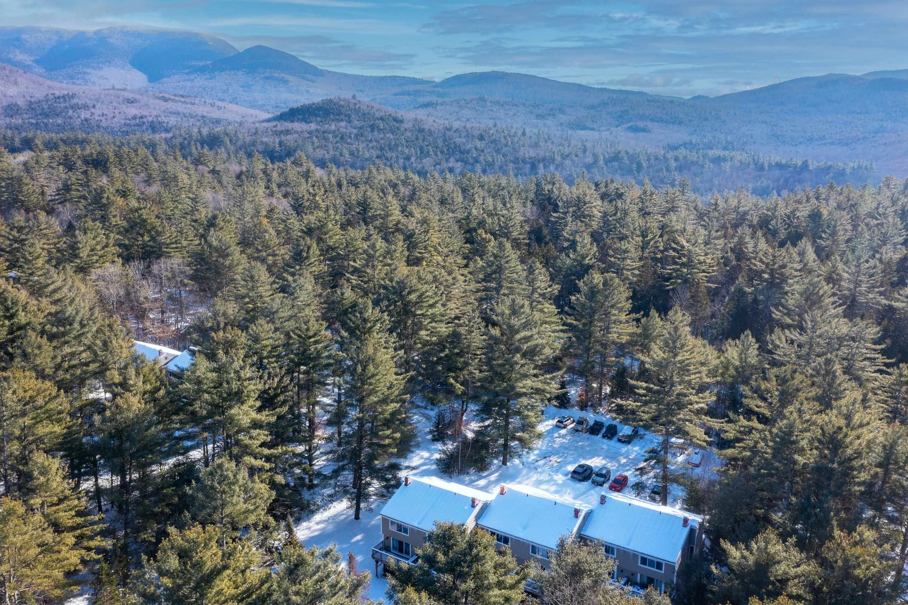 849 Upper Mad River Road, Unit D1 Thornton, NH 03285 - Photo 31 of 31