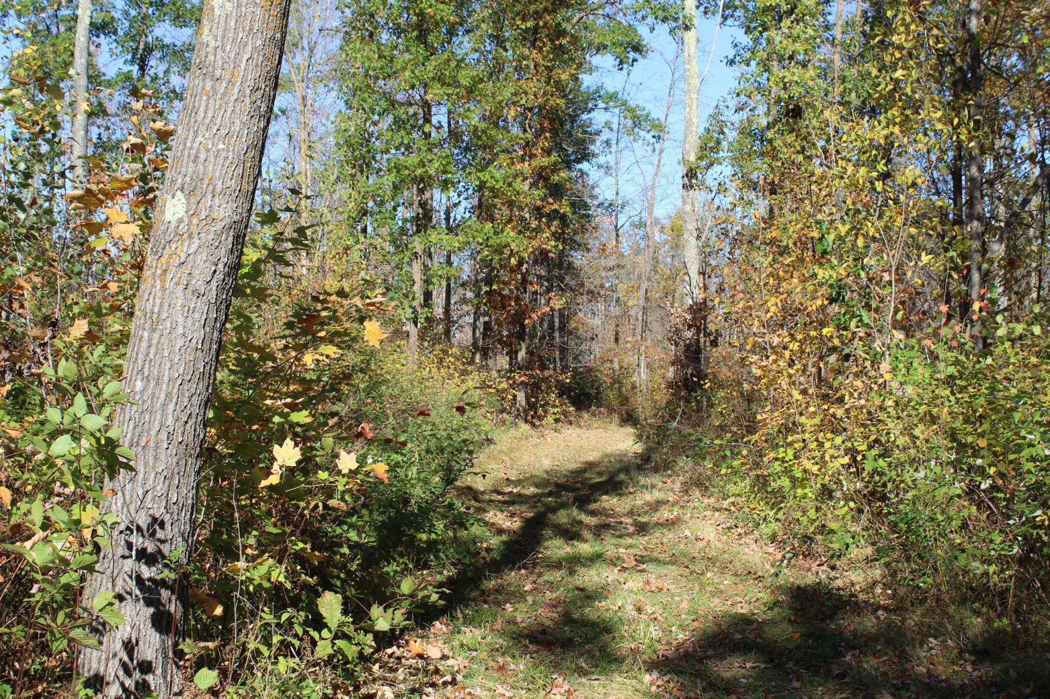 Tbd Woods Road Isle, MN 56342 - Photo 26 of 32