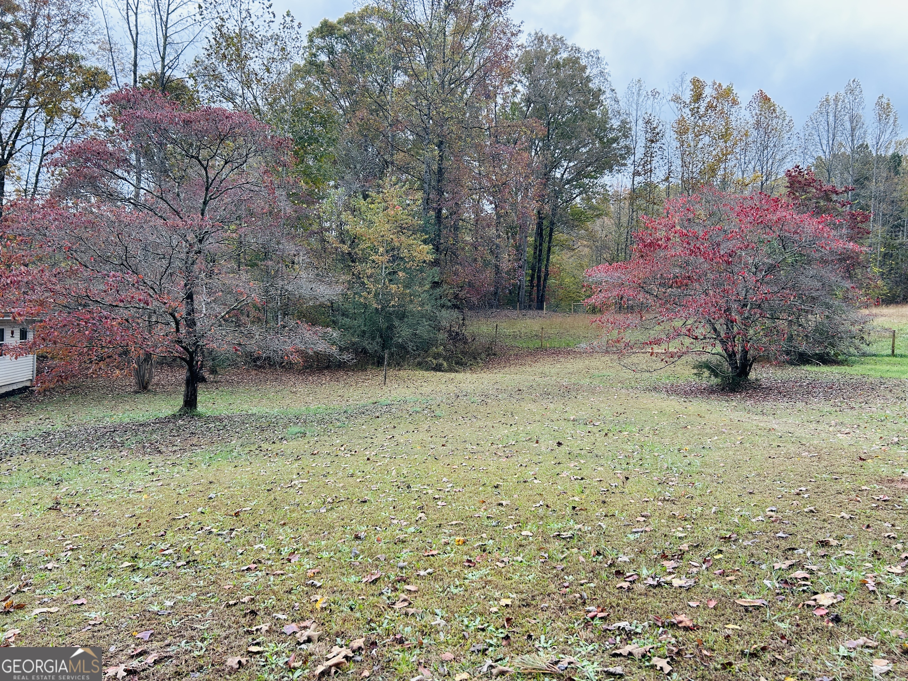 3077 Alec Mountain Road Clarkesville, GA 30523 - Photo 4 of 35 a view of a yard with a tree