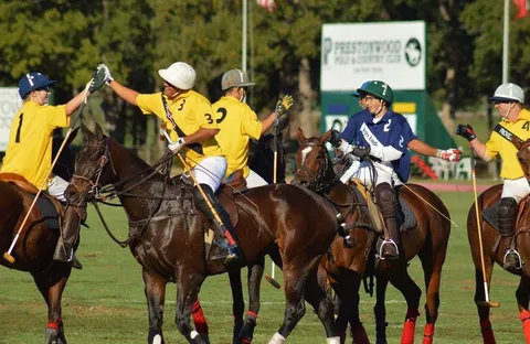 $450,000 | 500 Prestonwood Polo Drive, Oak Point, TX 75068