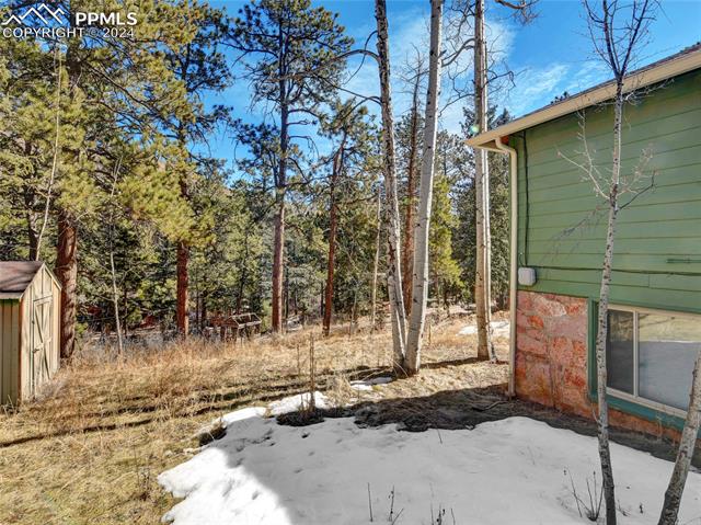 4955 Dodd Road Cascade, CO 80809 - Photo 40 of 45 View of yard with a shed