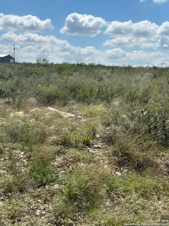 a view of a field with an ocean and trees