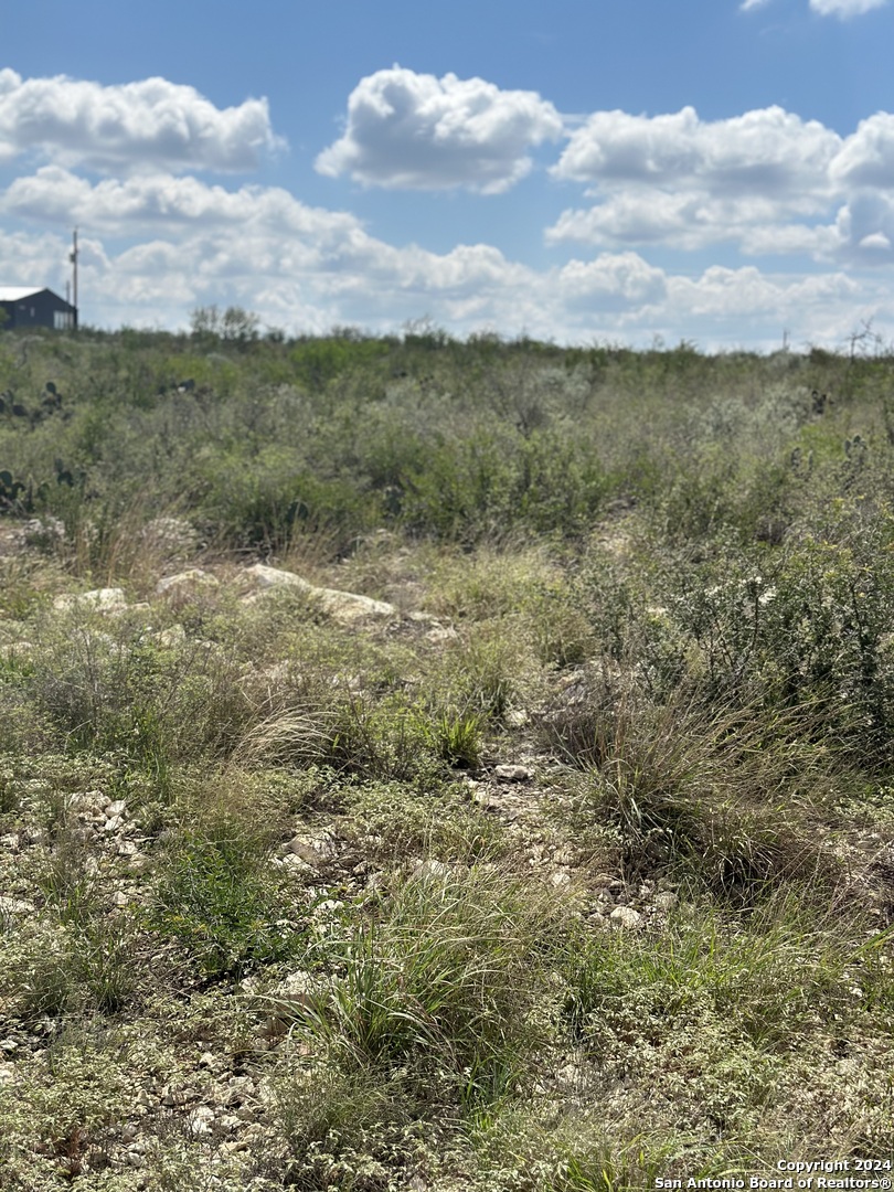 72 Friendship Hills Uvalde, TX 78801 - Photo 4 of 8 a view of a field with an ocean and trees