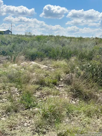 a view of a green field with lots of trees