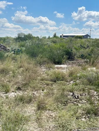 a view of a field with plants and trees