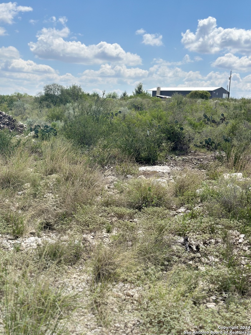 72 Friendship Hills Uvalde, TX 78801 - Photo 7 of 8 a view of a field with plants and trees