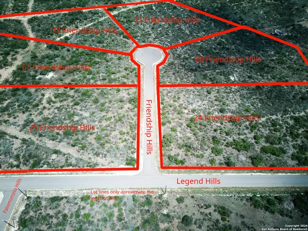 a view of a flower garden in front of a house