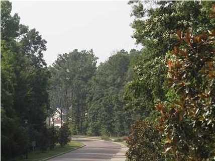 201 Border Road Goose Creek, SC 29445 - Photo 5 of 7 Additional Photo