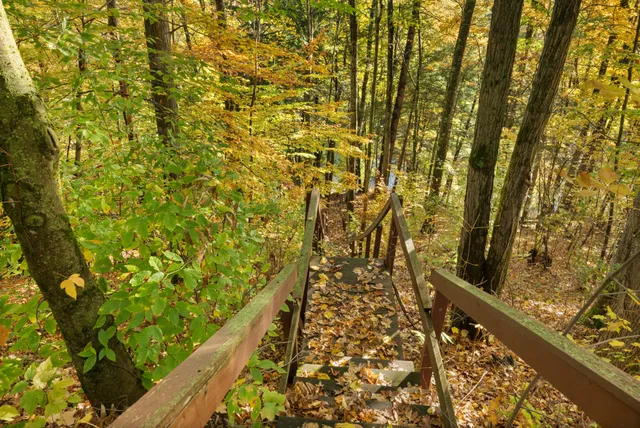 $650,000 | 8440 Felch Avenue, Newaygo, MI 49337