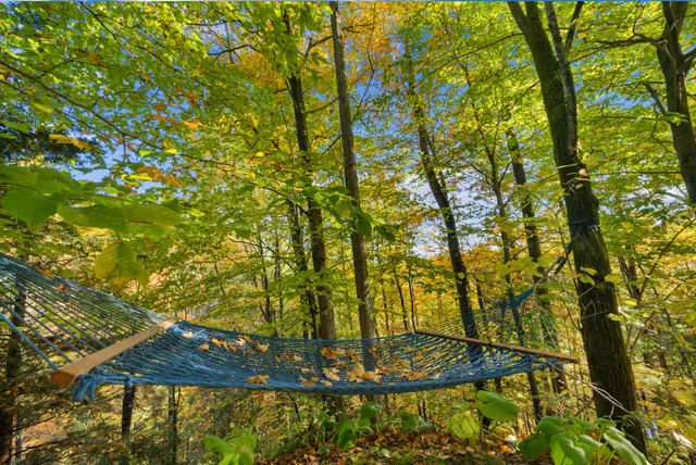 $650,000 | 8440 Felch Avenue, Newaygo, MI 49337