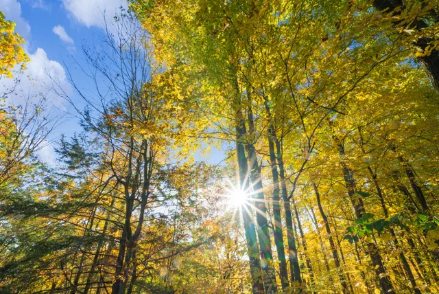 $650,000 | 8440 Felch Avenue, Newaygo, MI 49337