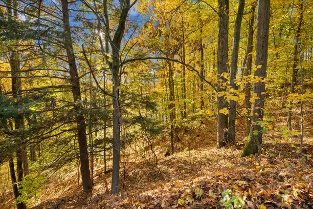 $650,000 | 8440 Felch Avenue, Newaygo, MI 49337