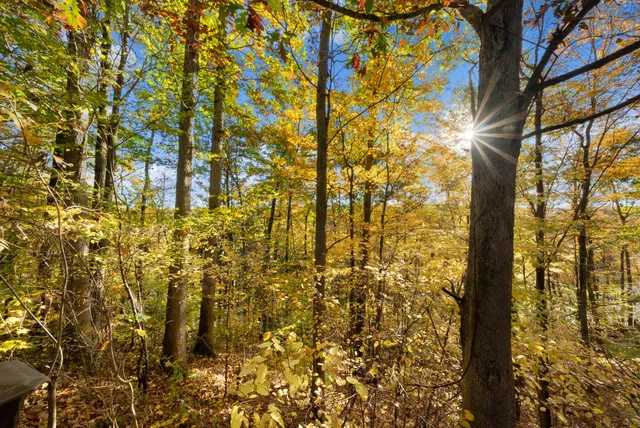 $650,000 | 8440 Felch Avenue, Newaygo, MI 49337