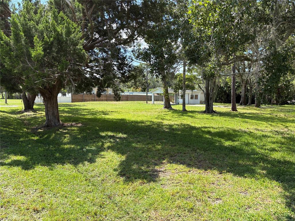 15127 Bluefish Street Hudson, FL 34667 - Photo 2 of 13 a big yard with lots of green space and trees