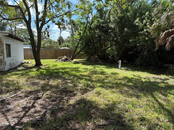 a street view with large trees