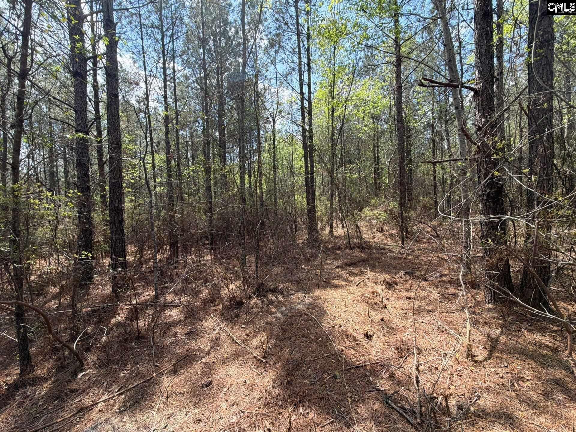 2 Mt Calvary Rd Ridge Spring, Unit CA 2 Ridge Spring, SC 29129 - Photo 20 of 29