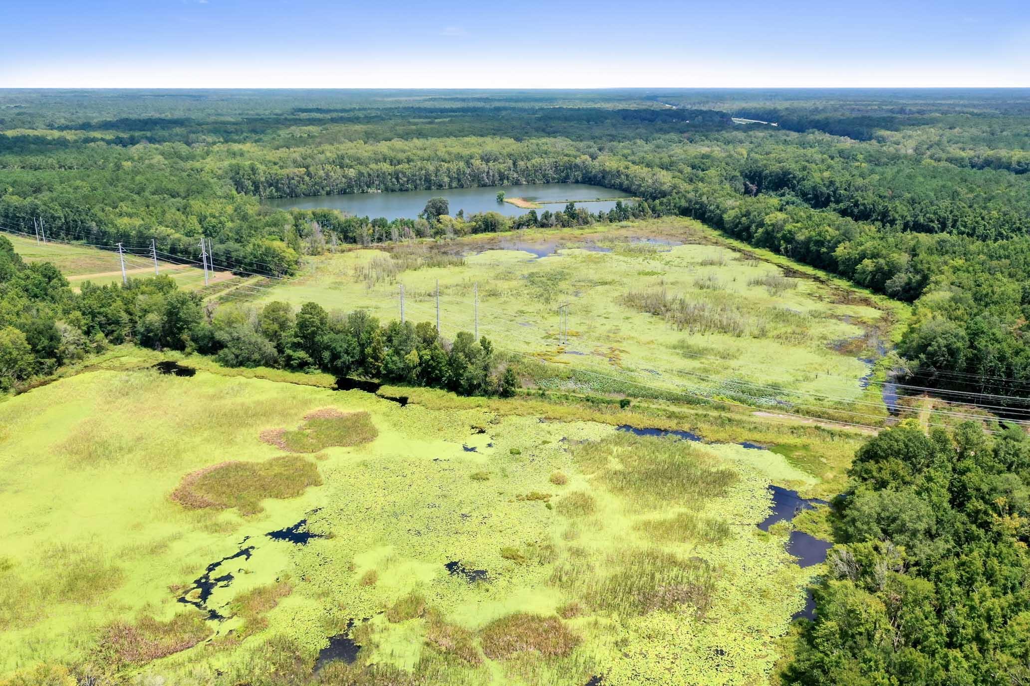 730 State Rd S-27-175 Ridgeland, SC 29936 - Photo 2 of 51 HFL_MAXFIELD PLANTATION-64