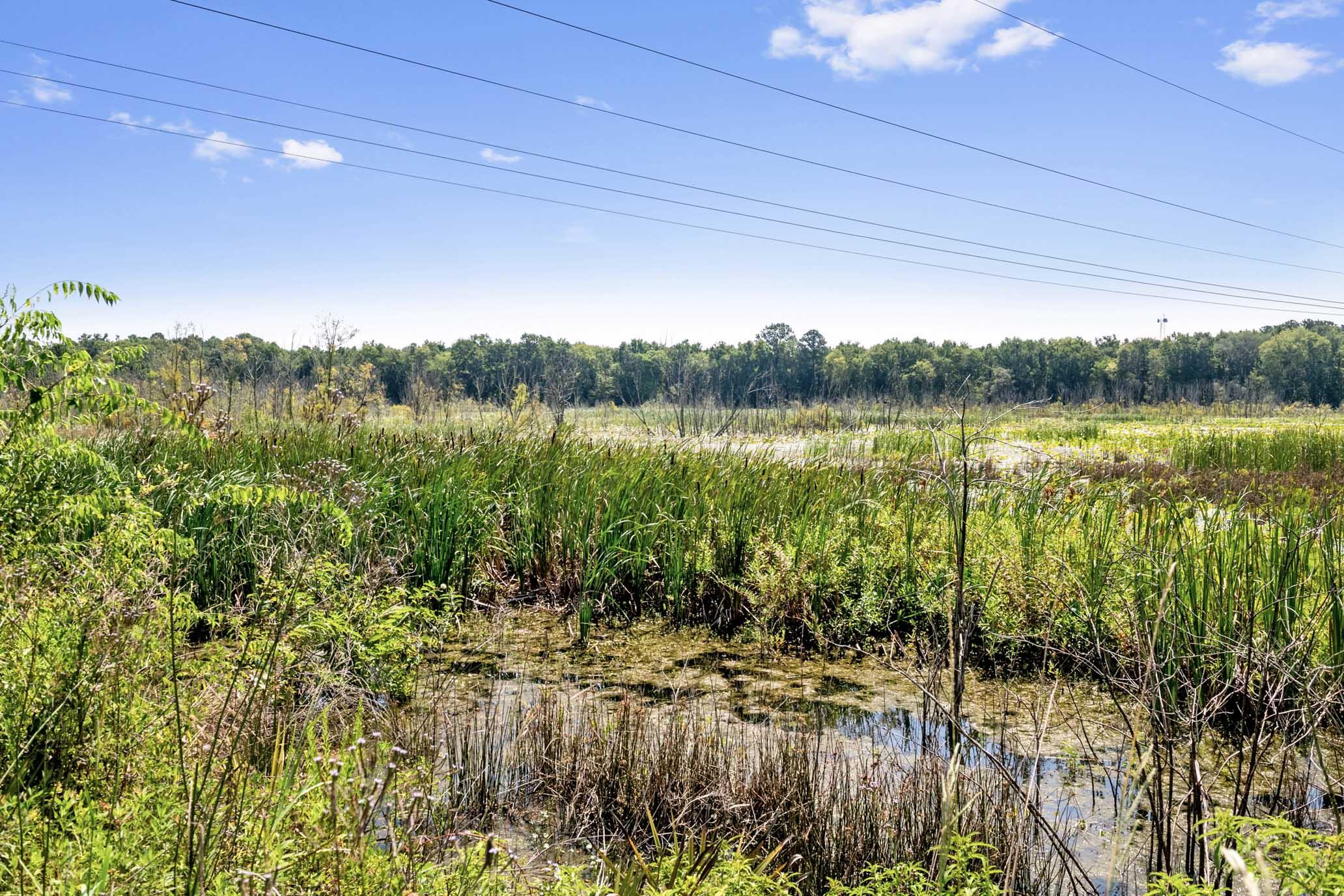 730 State Rd S-27-175 Ridgeland, SC 29936 - Photo 33 of 51 HFL_MAXFIELD PLANTATION-34