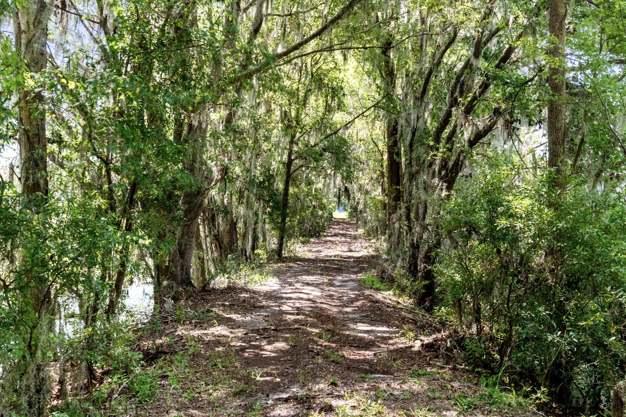 730 State Rd S-27-175 Ridgeland, SC 29936 - Photo 35 of 51 HFL_MAXFIELD PLANTATION-36