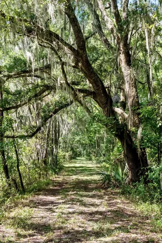 $3,900,000 | 730 State Rd S-27-175, Ridgeland, SC 29936