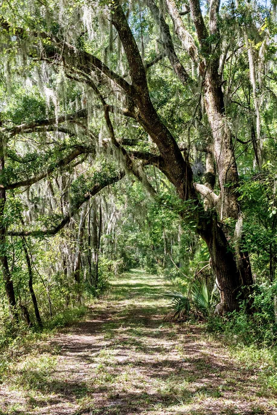 730 State Rd S-27-175 Ridgeland, SC 29936 - Photo 36 of 51 HFL_MAXFIELD PLANTATION-37