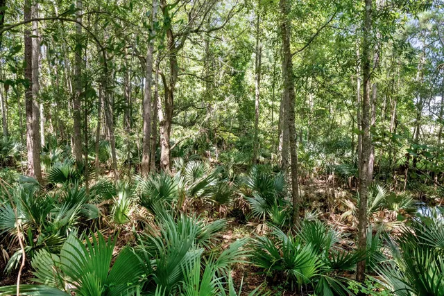 $3,900,000 | 730 State Rd S-27-175, Ridgeland, SC 29936